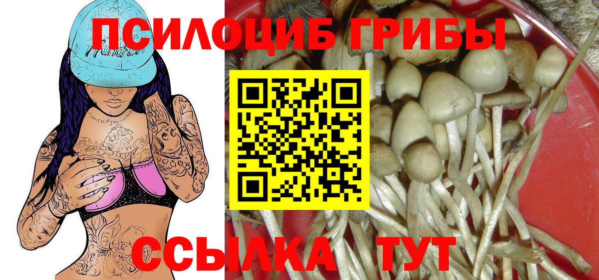 Псилоцибиновые грибы GOLDEN TEACHER Удомля