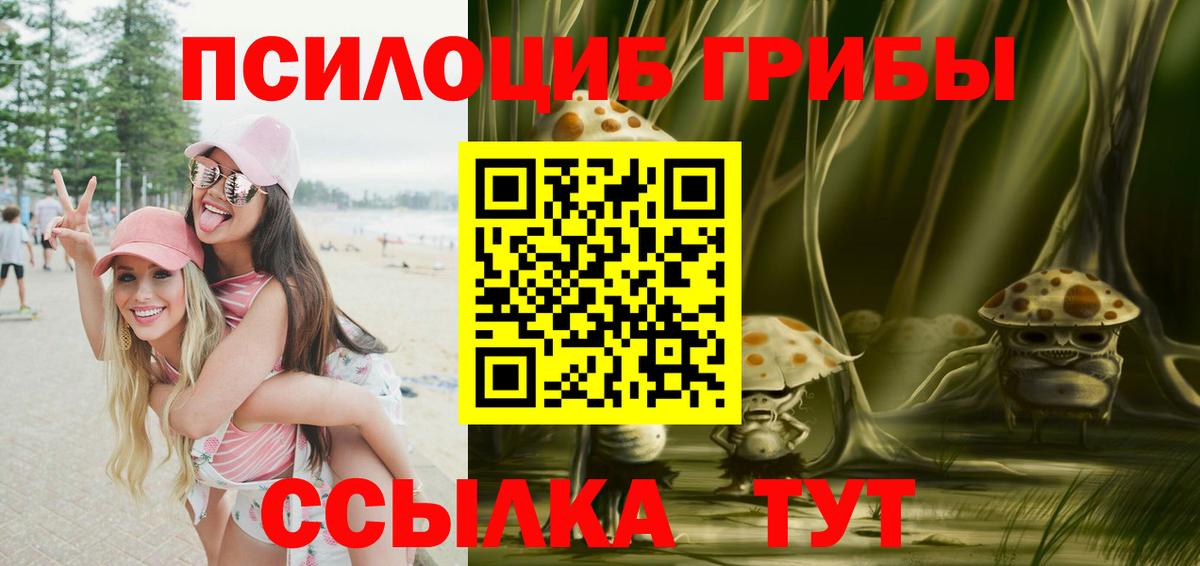 Удомля  Псилоцибиновые грибы Magic Shrooms  Вход с VPN  Галлюциногенные грибы GOLDEN TEACHER 